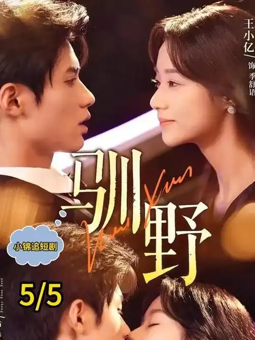 回到十九岁 逆袭短剧全集在线观看